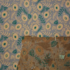 영자 Yungja (original / herbalist)