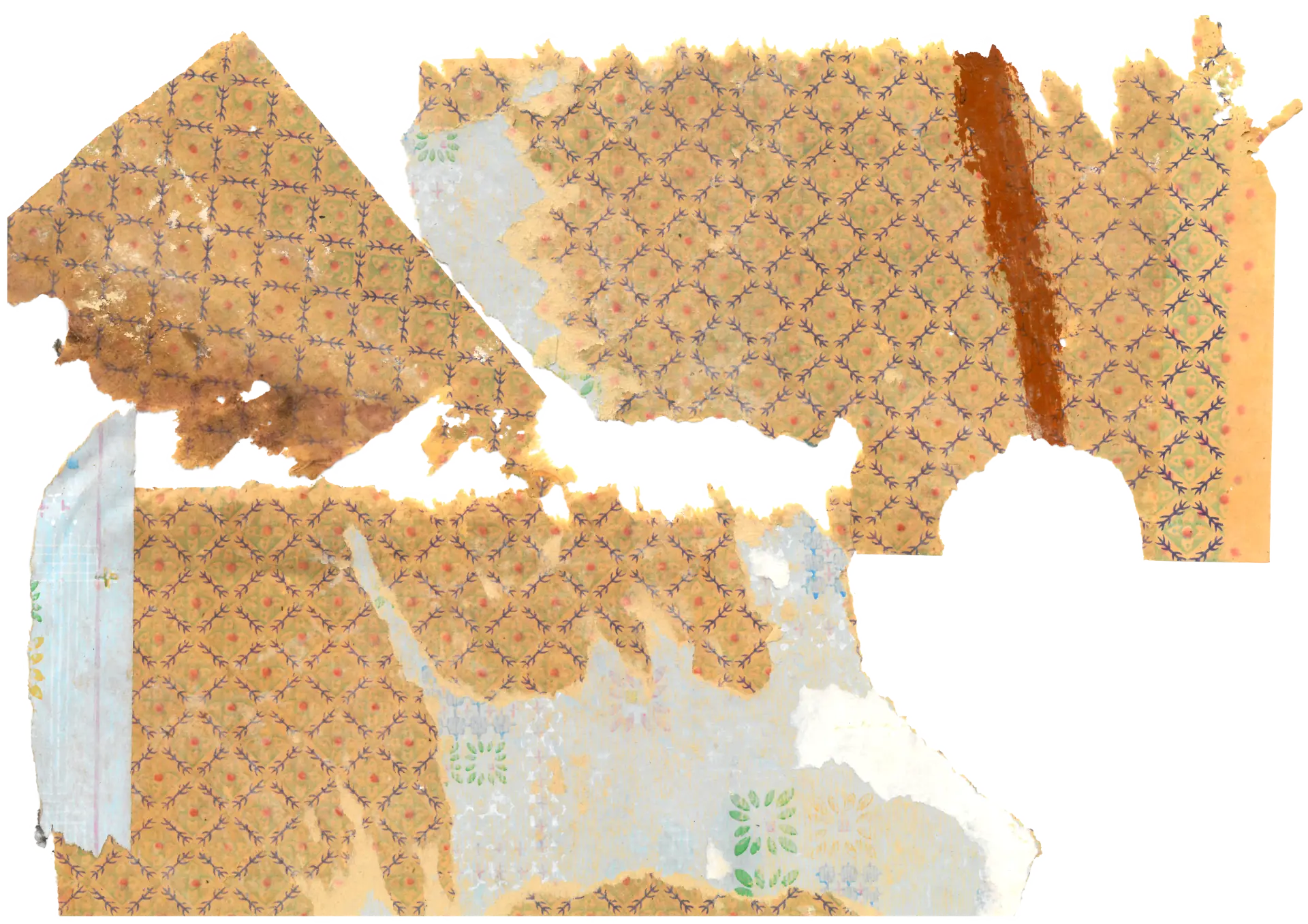 The Flower of India and the Neunghwa-pan of Joseon: Two Bloodlines Running Through the Border Wallpaper