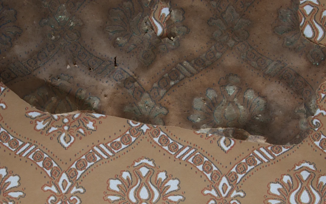 Warp and Weft on Paper: The Colonial-Era Damask and the Economy of Modern Taste