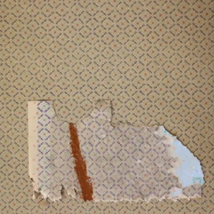 점순 Jeomsoon (original)