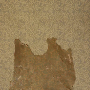 지훈 Jihoon (original / blossom dye)