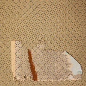 1950s Korean Vintage Wallpaper — Jeomsoon (original)