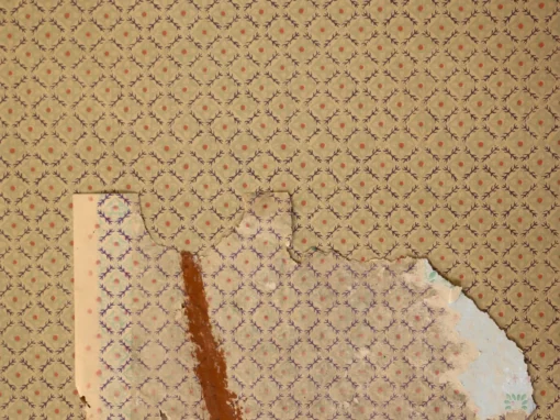1950s Korean Vintage Wallpaper — Jeomsoon (original)