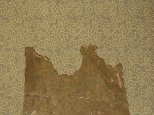 1960s Korean Vintage Wallpaper — Jihoon (original / blossom dye)